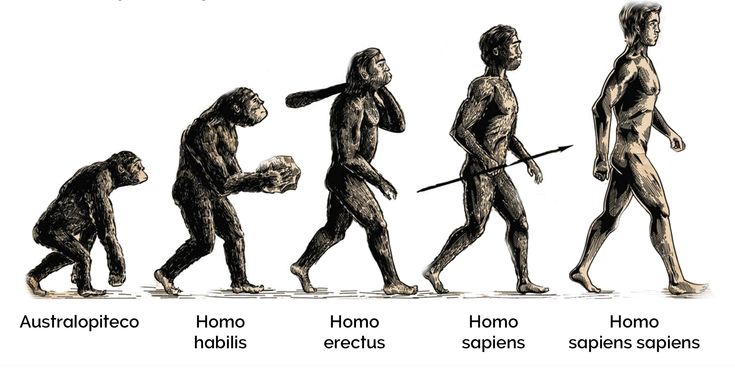 Penjelasan Teori Evolusi Charles Darwin